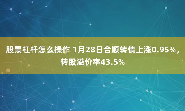 股票杠杆怎么操作 1月28日合顺转债上涨0.95%，转股溢价率43.5%